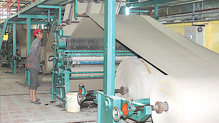 Nam Định phát triển ngành công nghiệp chế biến gỗ, giấy và lâm sản